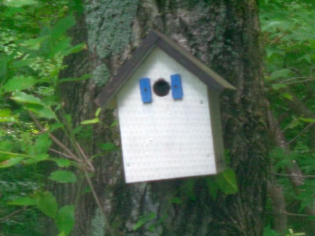 240606subako_n.jpg