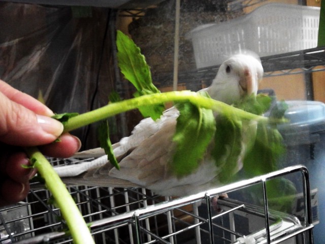 Image1356508816837.jpg