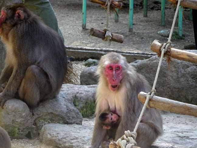 命名の日のレイワ (4).JPG