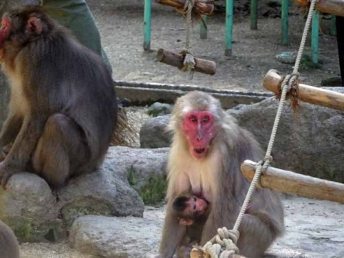 命名の日のレイワ (4).JPG