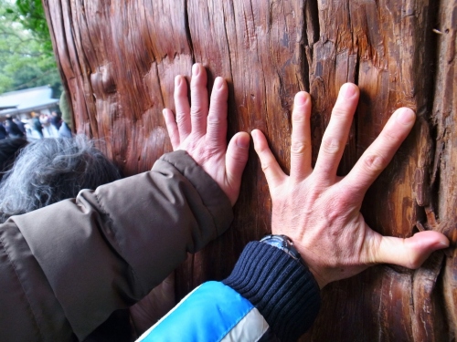 R0050542 (1024x768).jpg