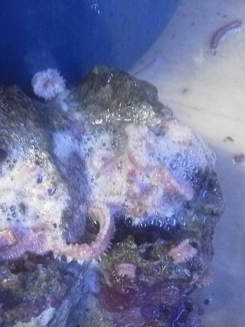 DSC_2527.jpg