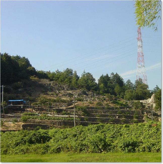 14左は段々畑