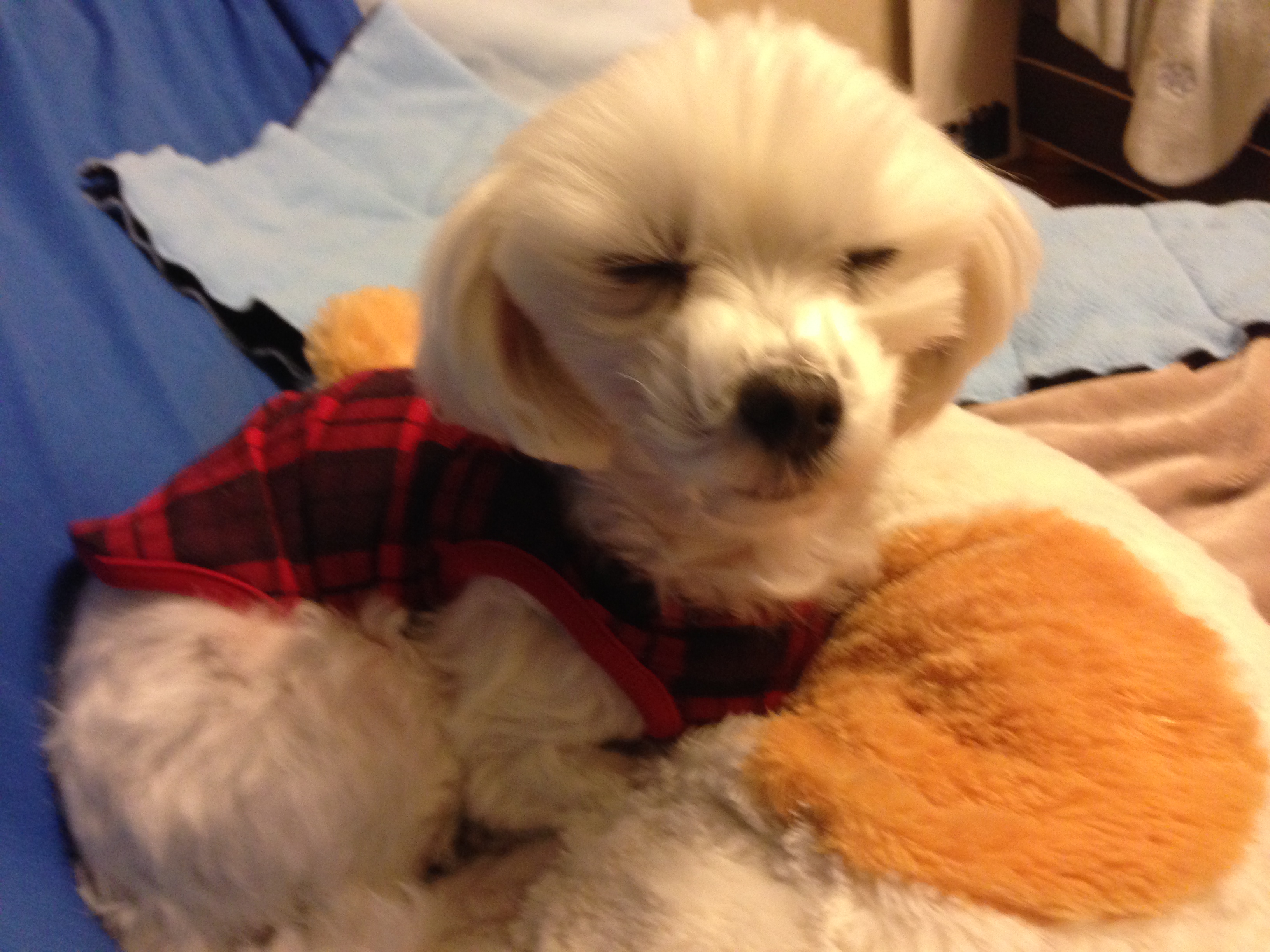 201412122025_2232_iphone.jpg