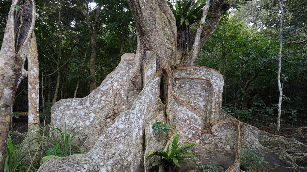 20150223 11395801.JPG