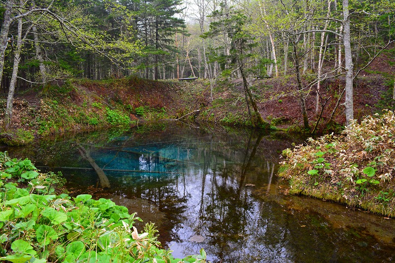 DSC_0881.jpg
