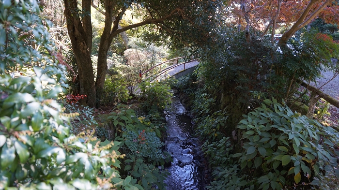 20151127 10075201.jpg