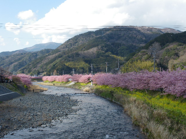 IMGP0013.JPG