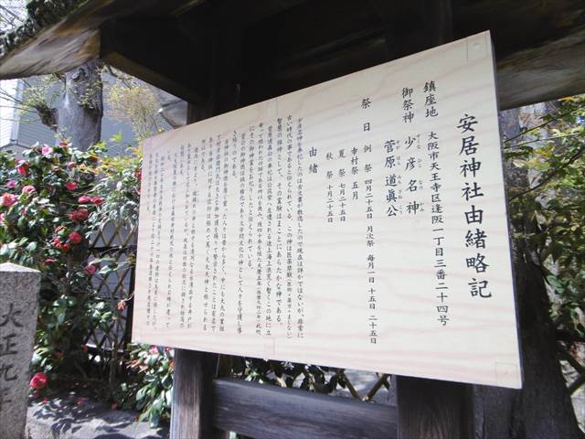 P1320786.JPG