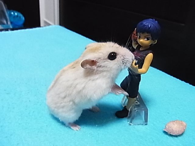 2014_07070053.JPG