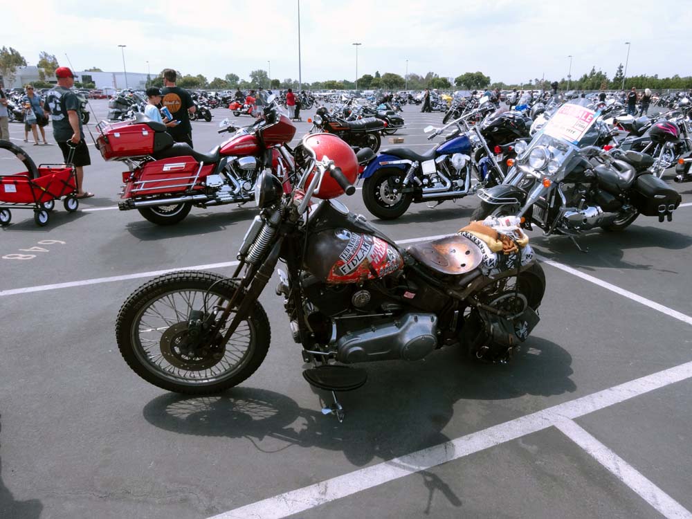 DSC01392.JPG