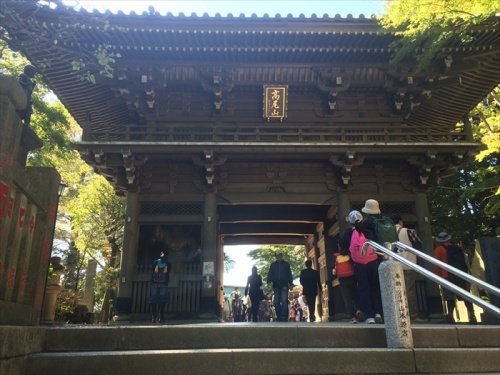 20151025 10174101.JPG