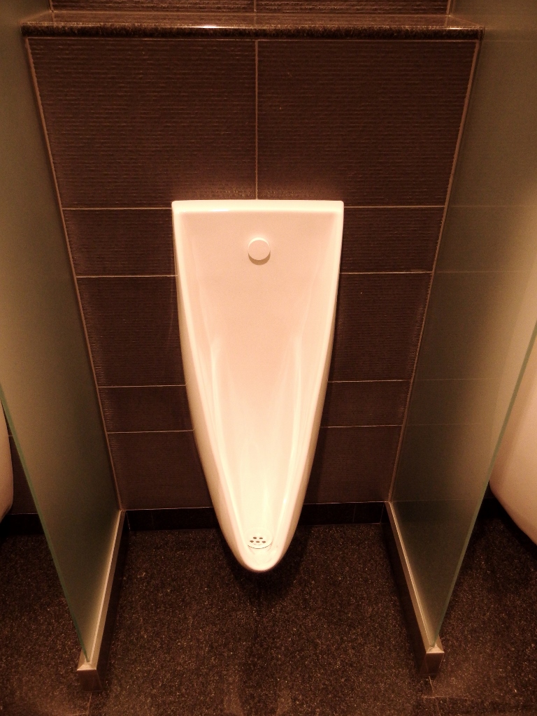 IMGP0051 (768x1024).jpg