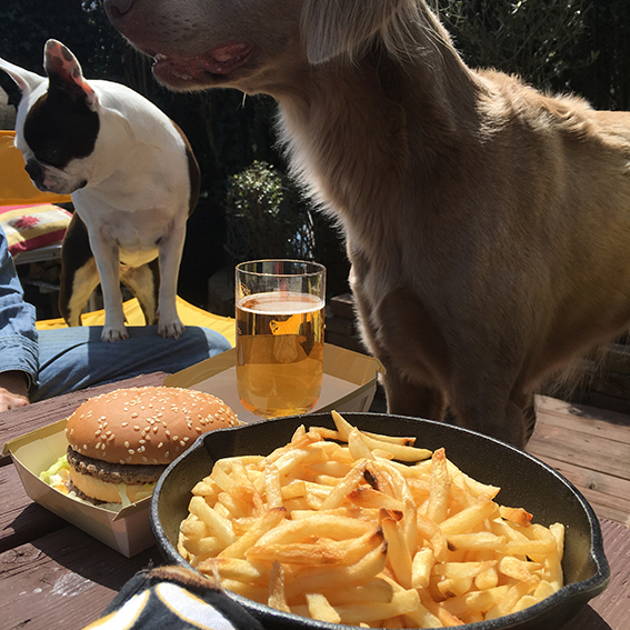 ファイル 2017-03-28 12 03 47.jpeg