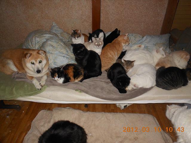 DSCN3138.JPG
