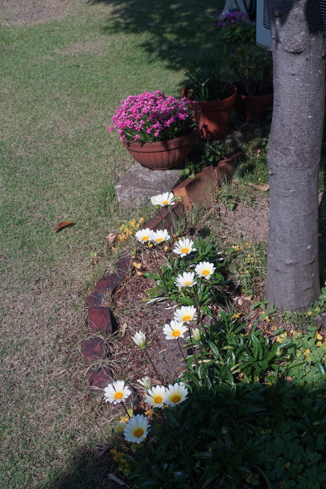 DSC00528 s.JPG