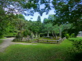 木　庭園.JPG