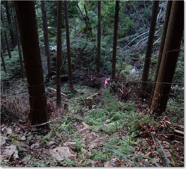 127ここが順路のようです