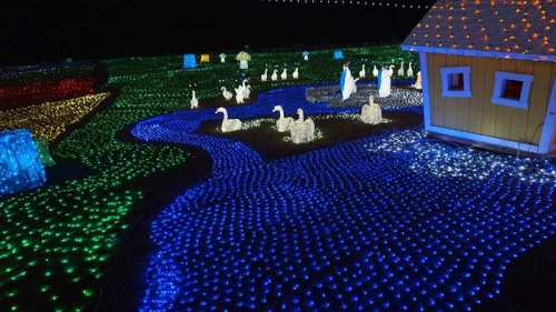 20141119 16571701.JPG