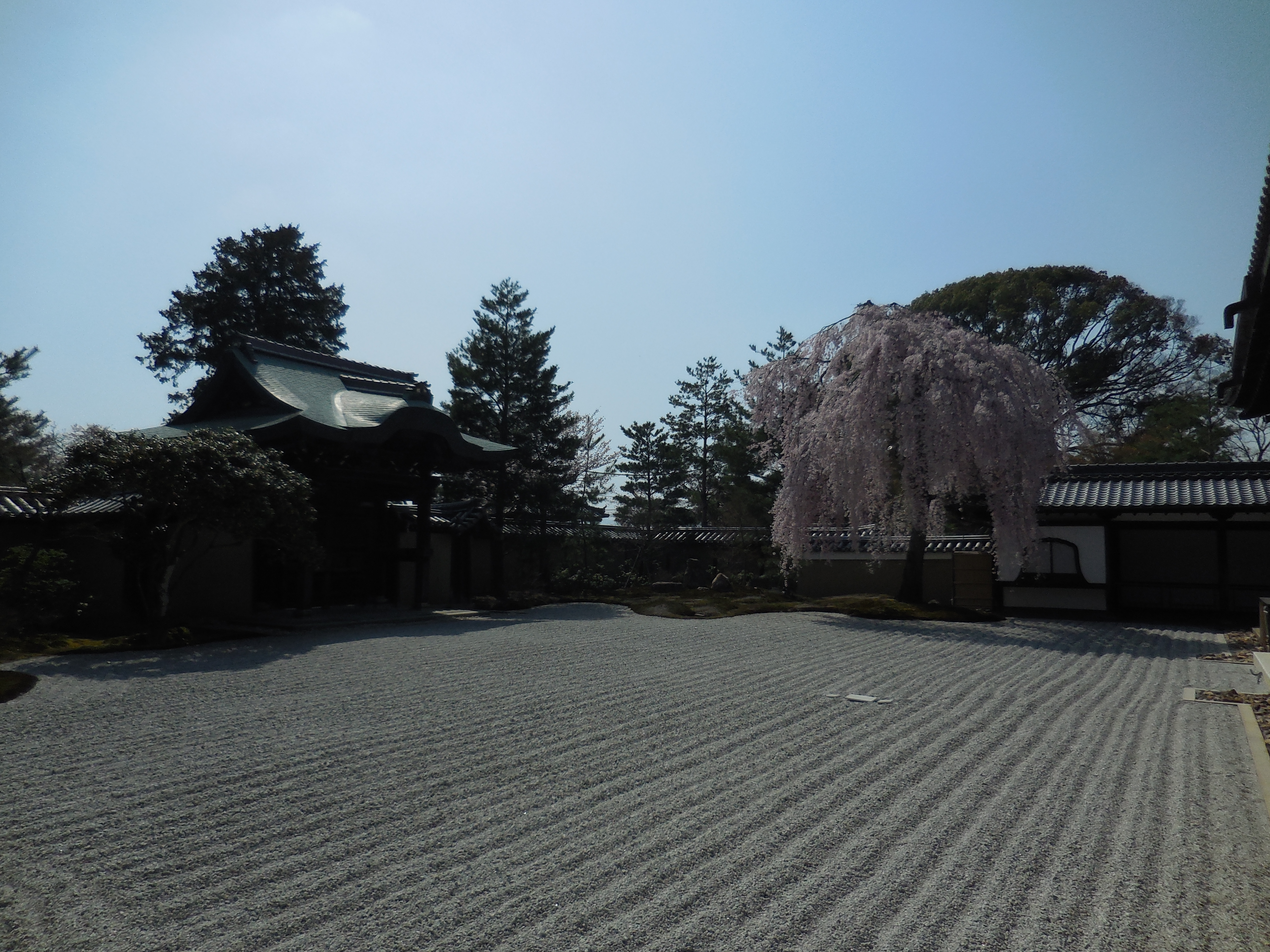 DSCN2048.JPG