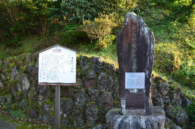 DSC_4334.JPG