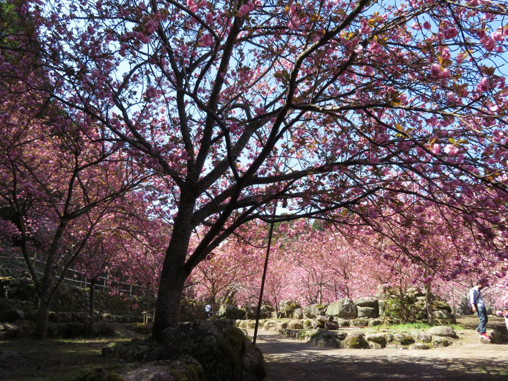 一心寺 (34).jpg