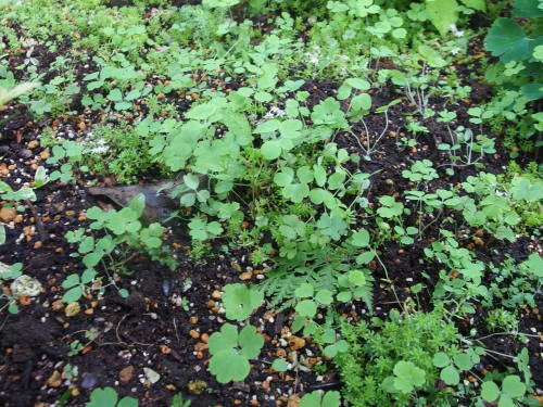 2015-06-27 16.03.56.jpg