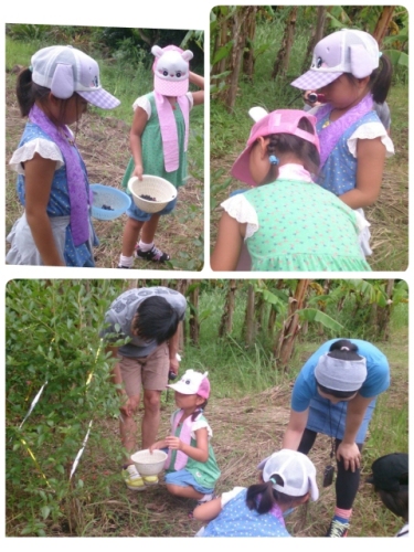 2014-08-06-05-57-20_deco (480x640).jpg