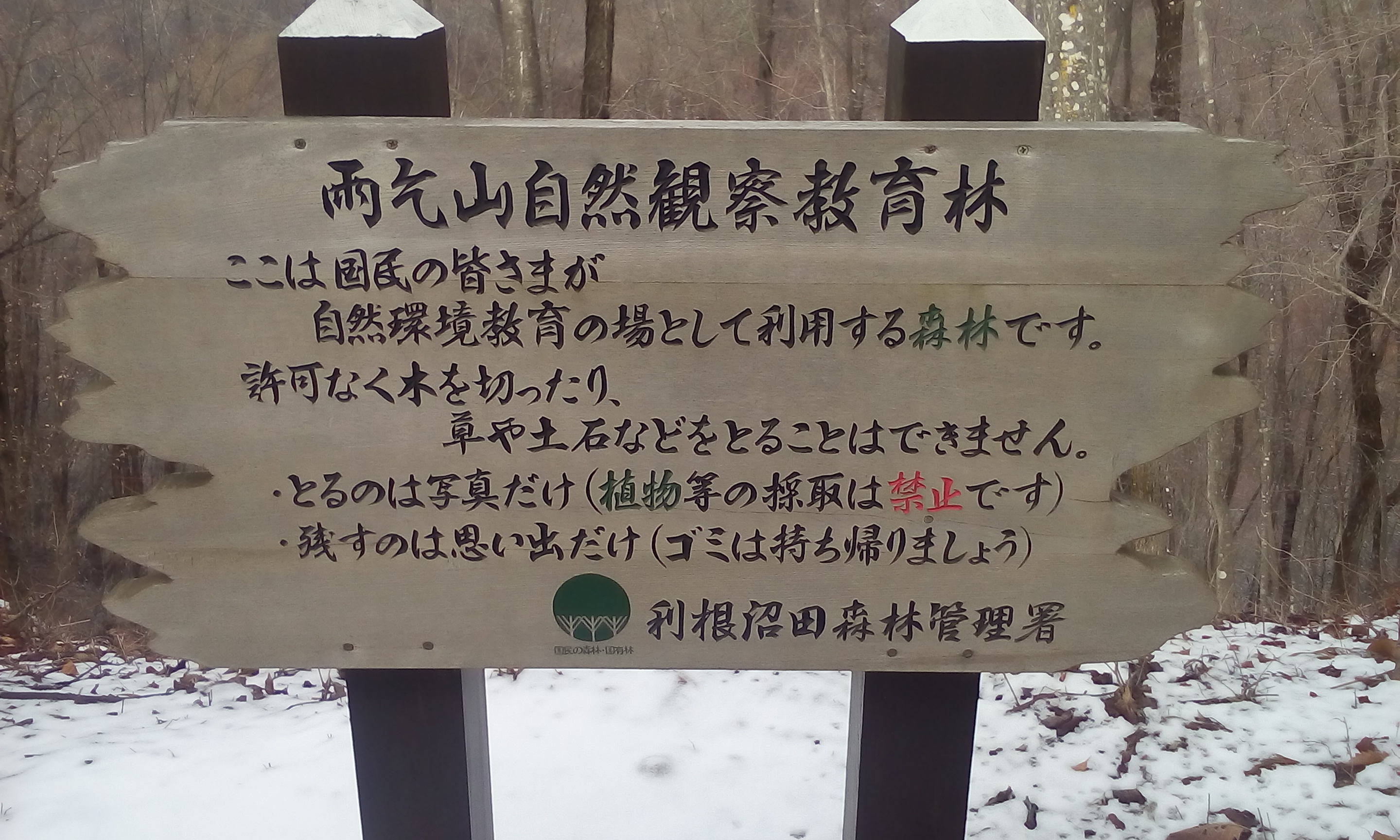 IMG_20160310_140505.jpg