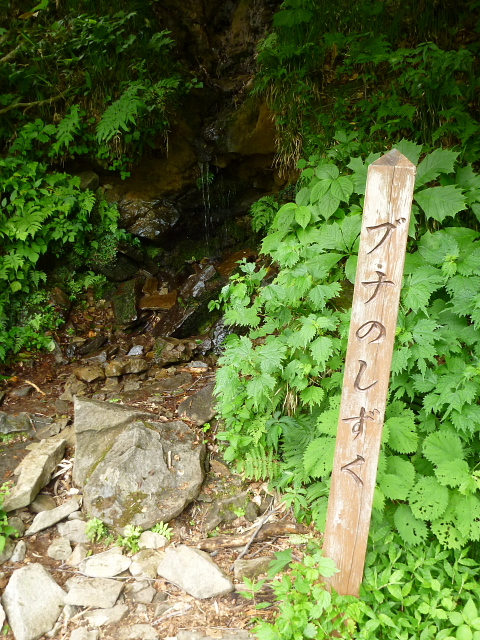 一の倉沢201307235.jpg