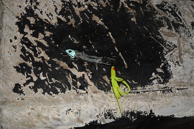 showPhoto (640×426)