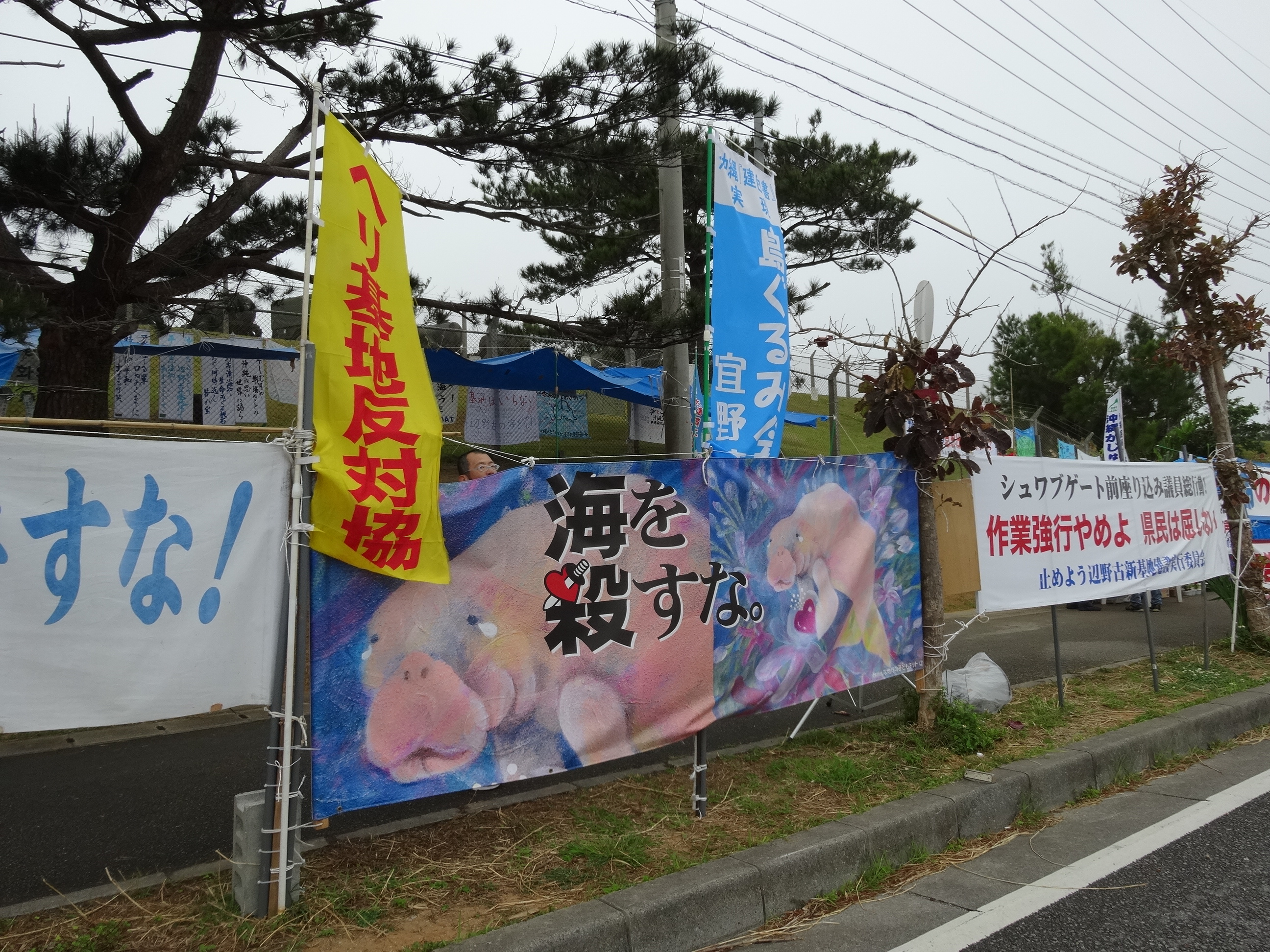 DSC03429.JPG