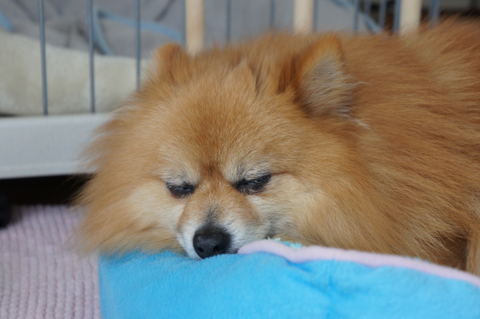 DSC07949.JPG