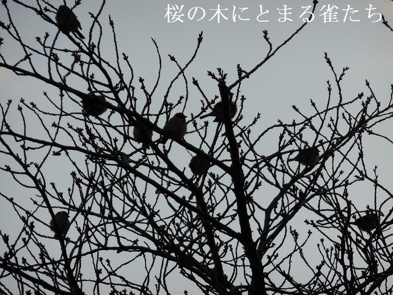 DSCN3977.JPG