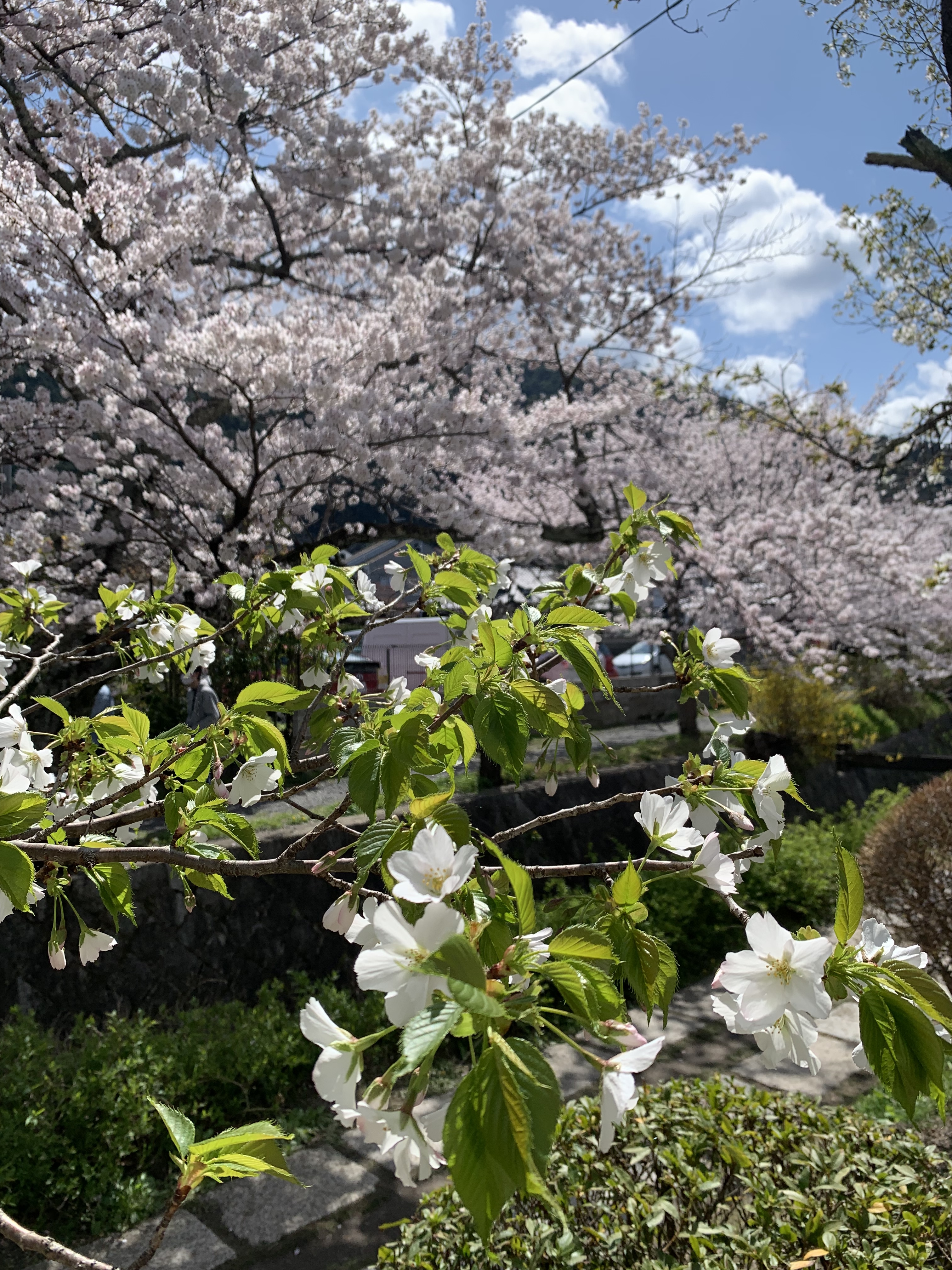 0384C7FF-06C8-4636-AA86-8097F0E3DFF5.jpeg
