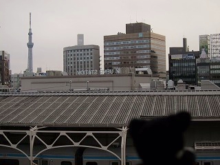 IMG_9022.jpg
