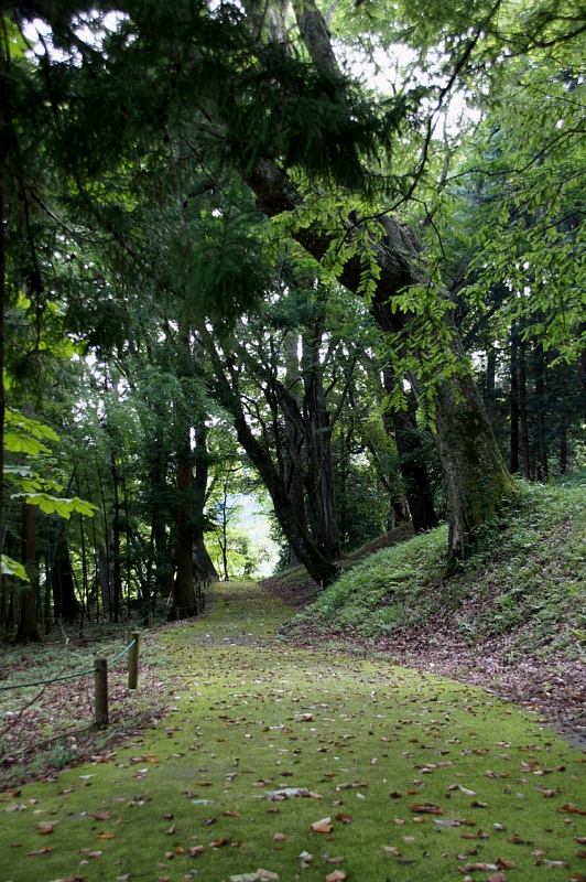 0828-7.jpg