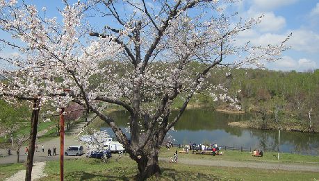 東明公園.jpg