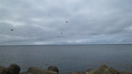 douhokunotabi2012.7-nosyapmisaki-f.jpg