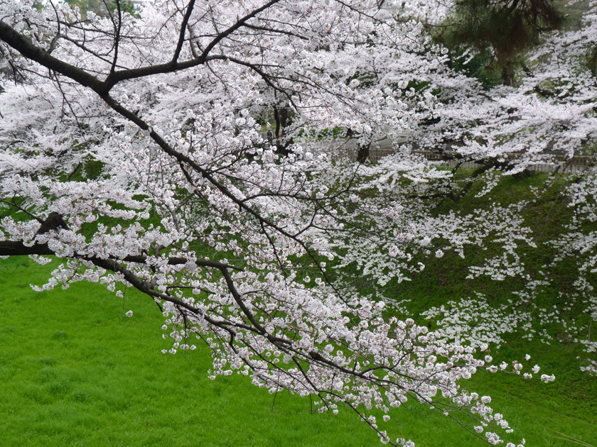 nagoyajyo-w010.jpg