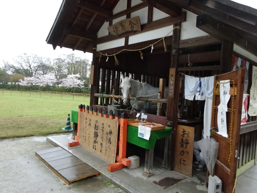 上賀茂神社 (5).JPG