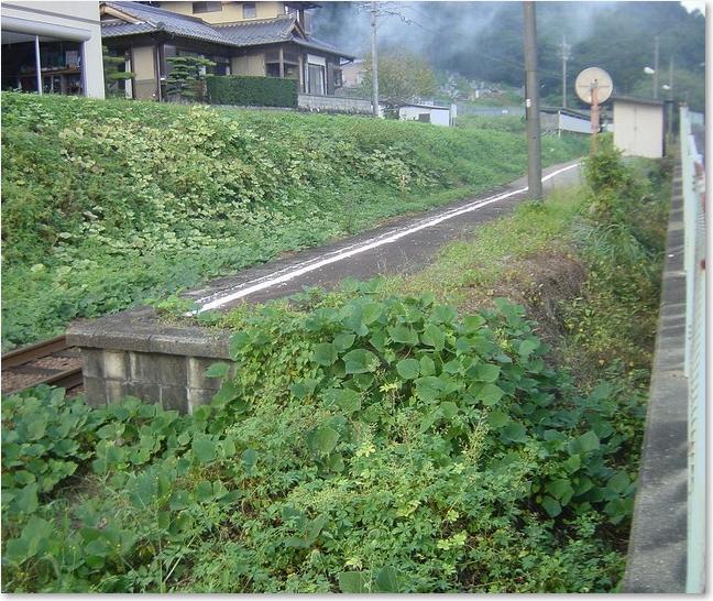 35これはホーム？