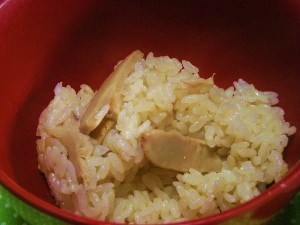 DSCN4583 (300x225).jpg