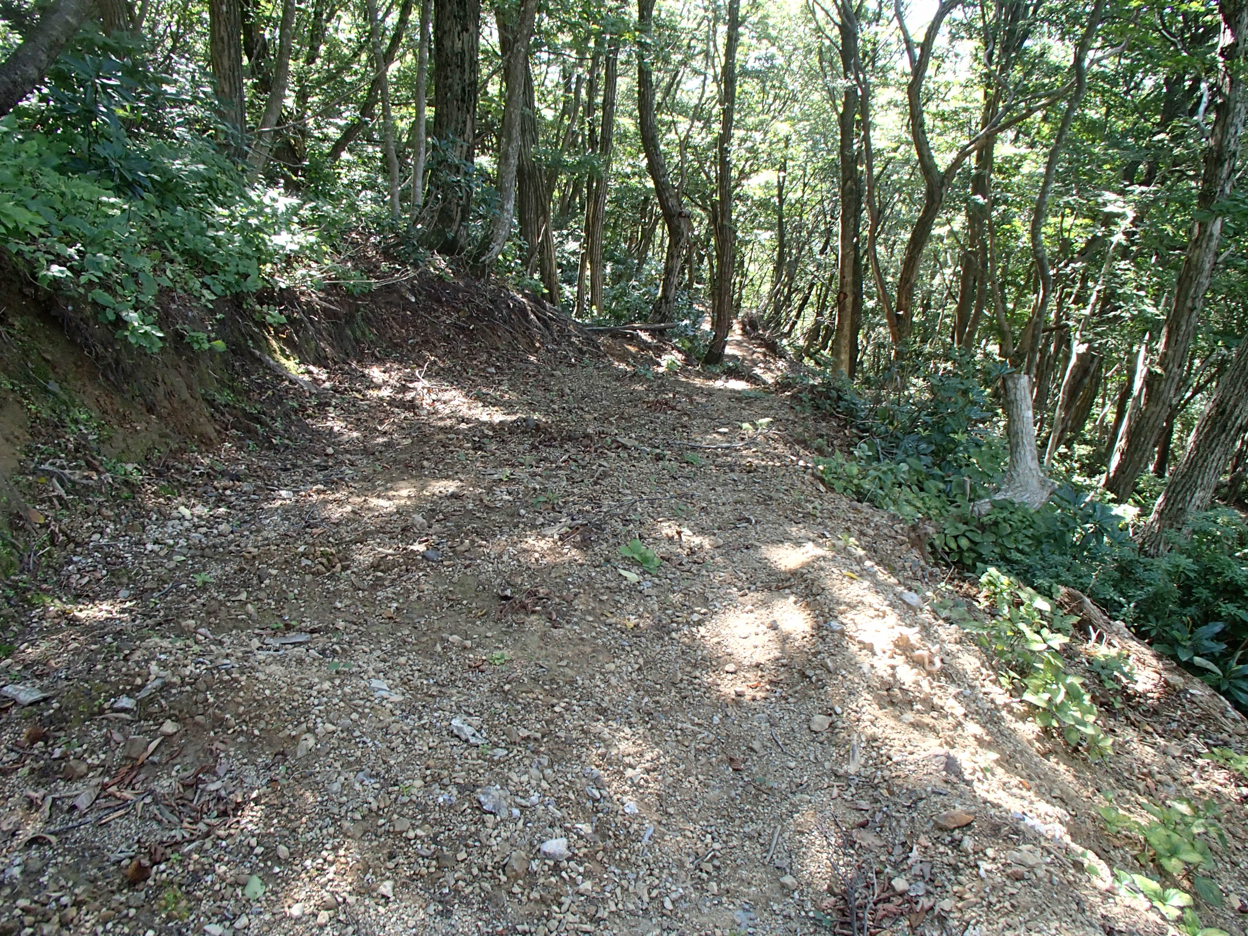 P9210300.JPG