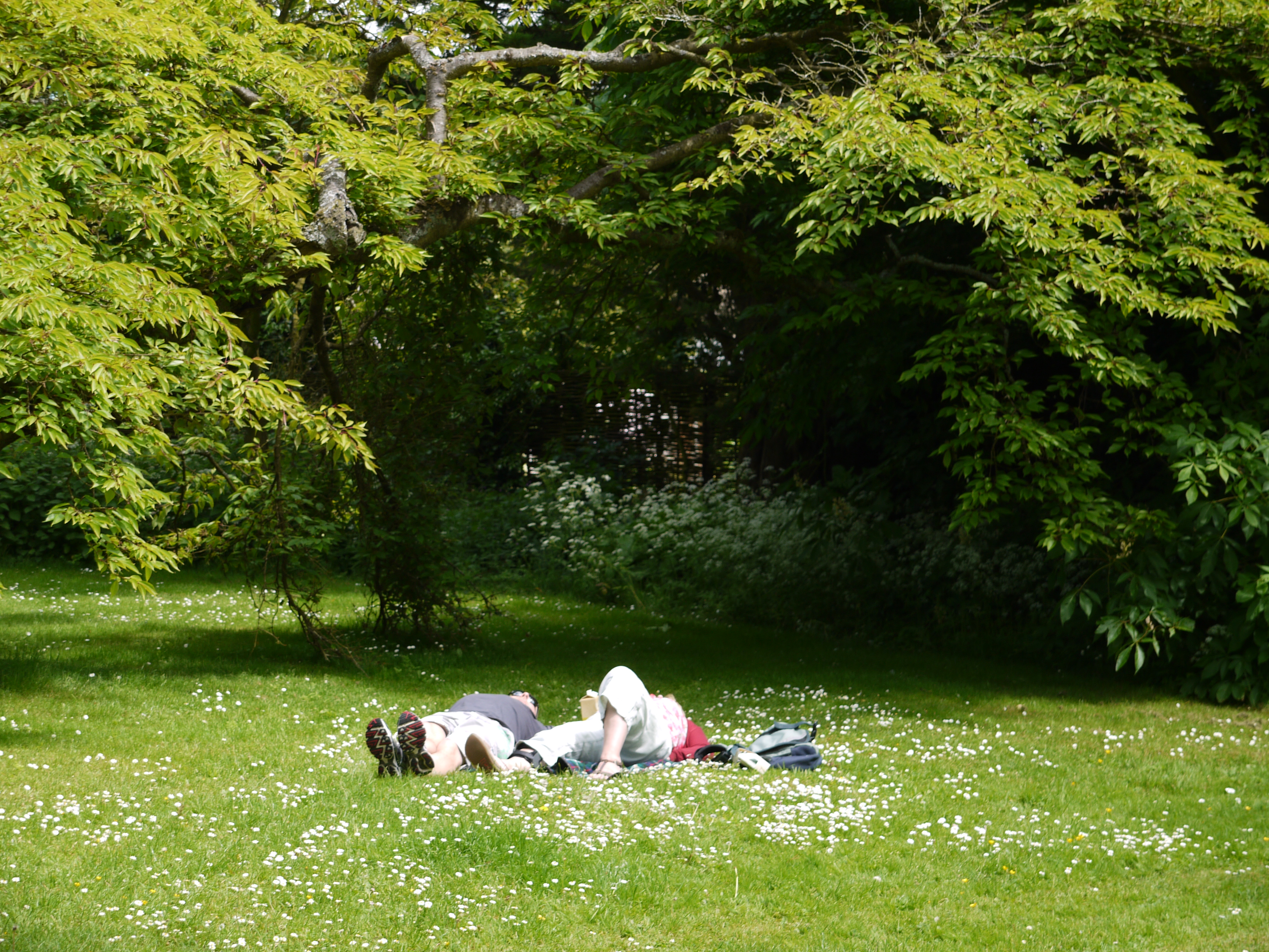 P1110021.JPG
