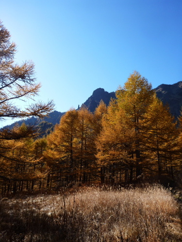 黒斑外輪山縦走コース9.jpg