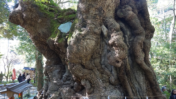 20151127 11054301.jpg