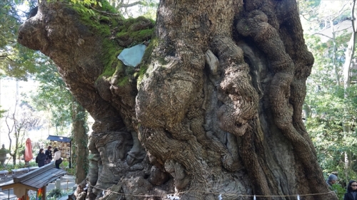 20151127 11054301.jpg