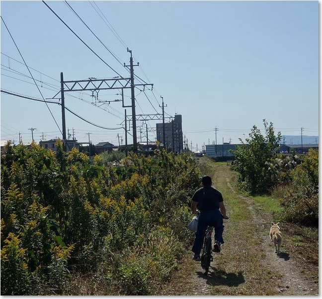 24反対側を・・・