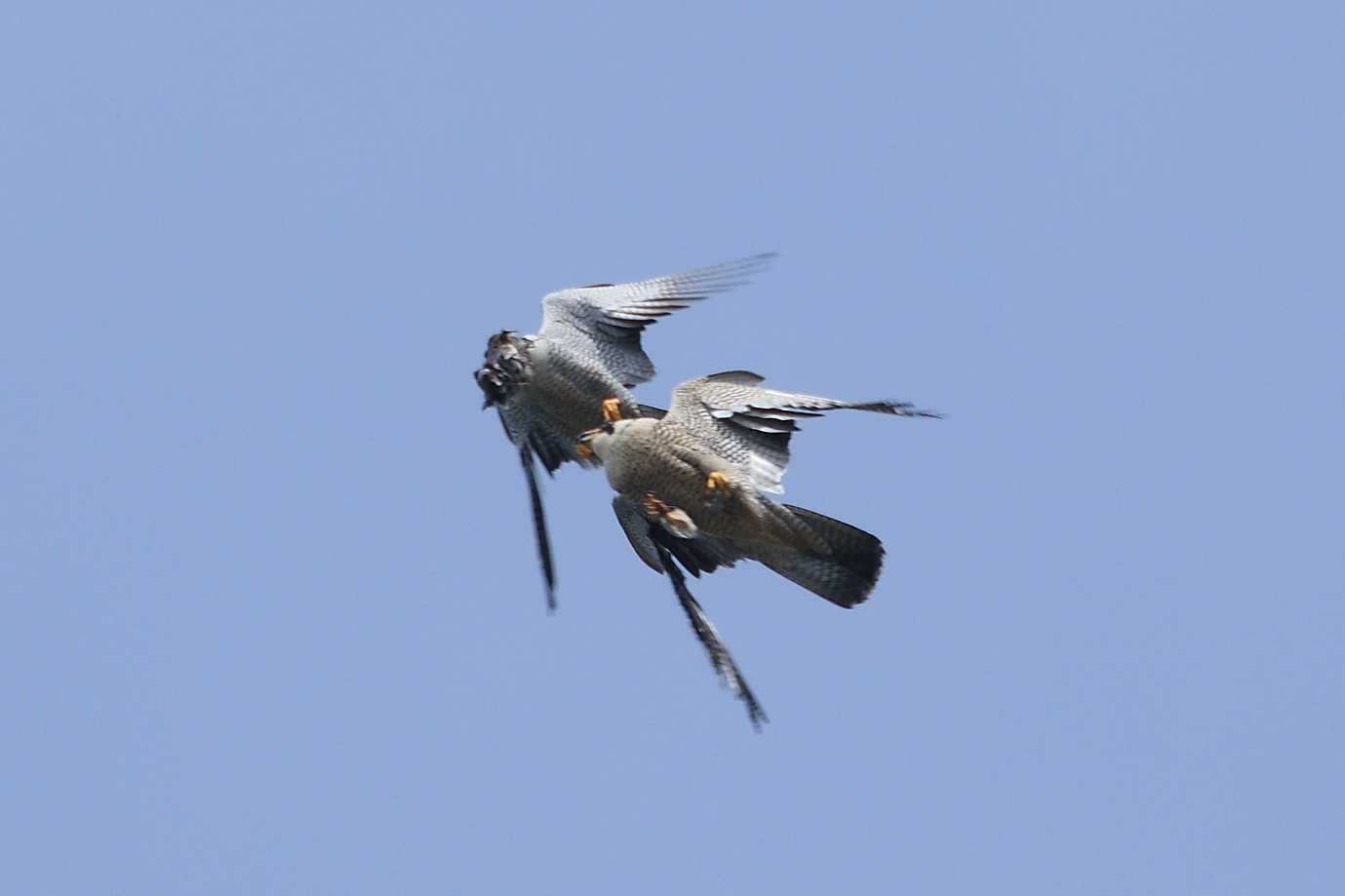 150A7547.JPG